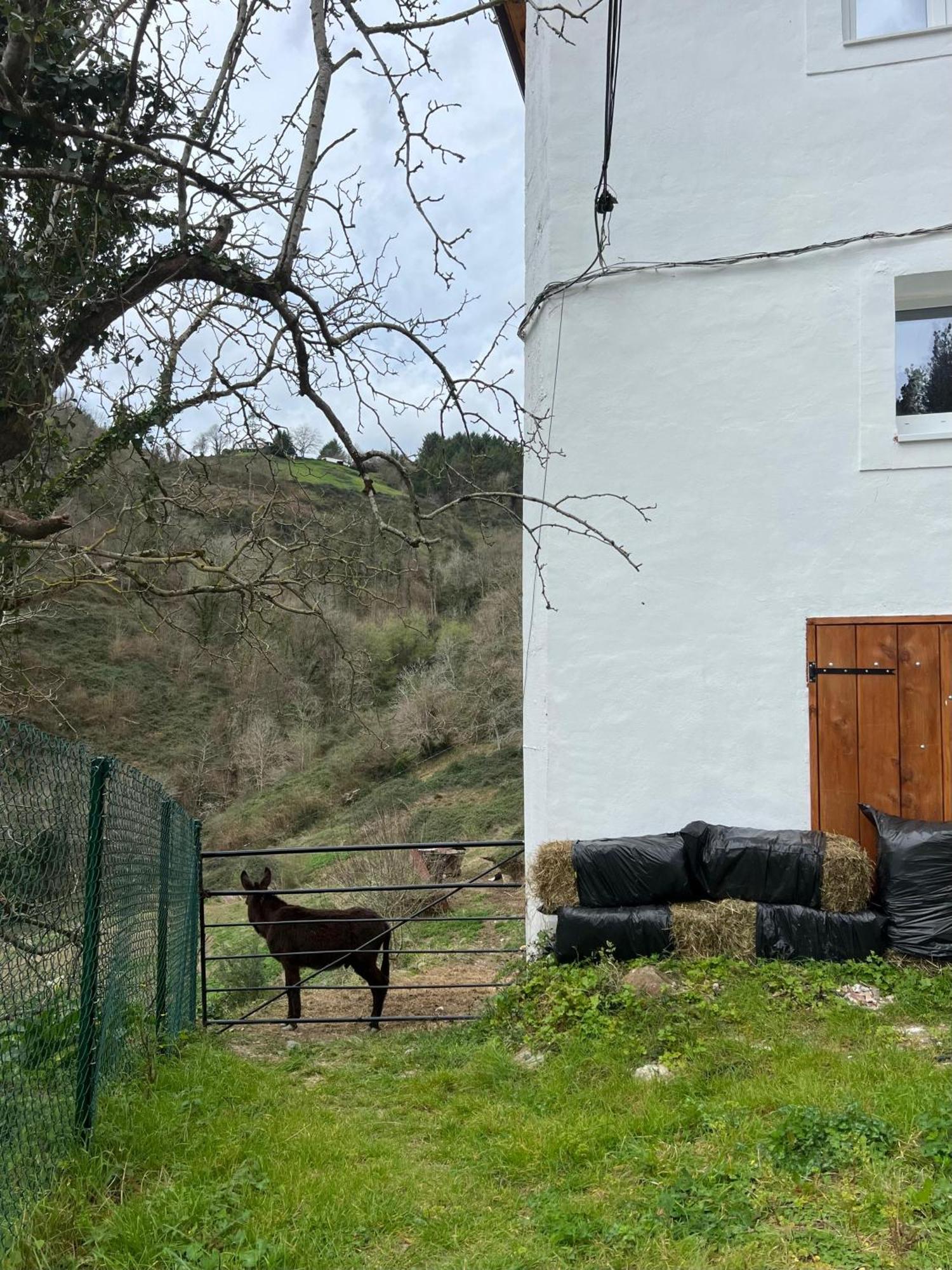 Apartamento Fantastico Retiro Rural En El Corazon De Euskadi Elgoibar Exterior foto